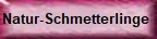 weitere Schmetterlinge