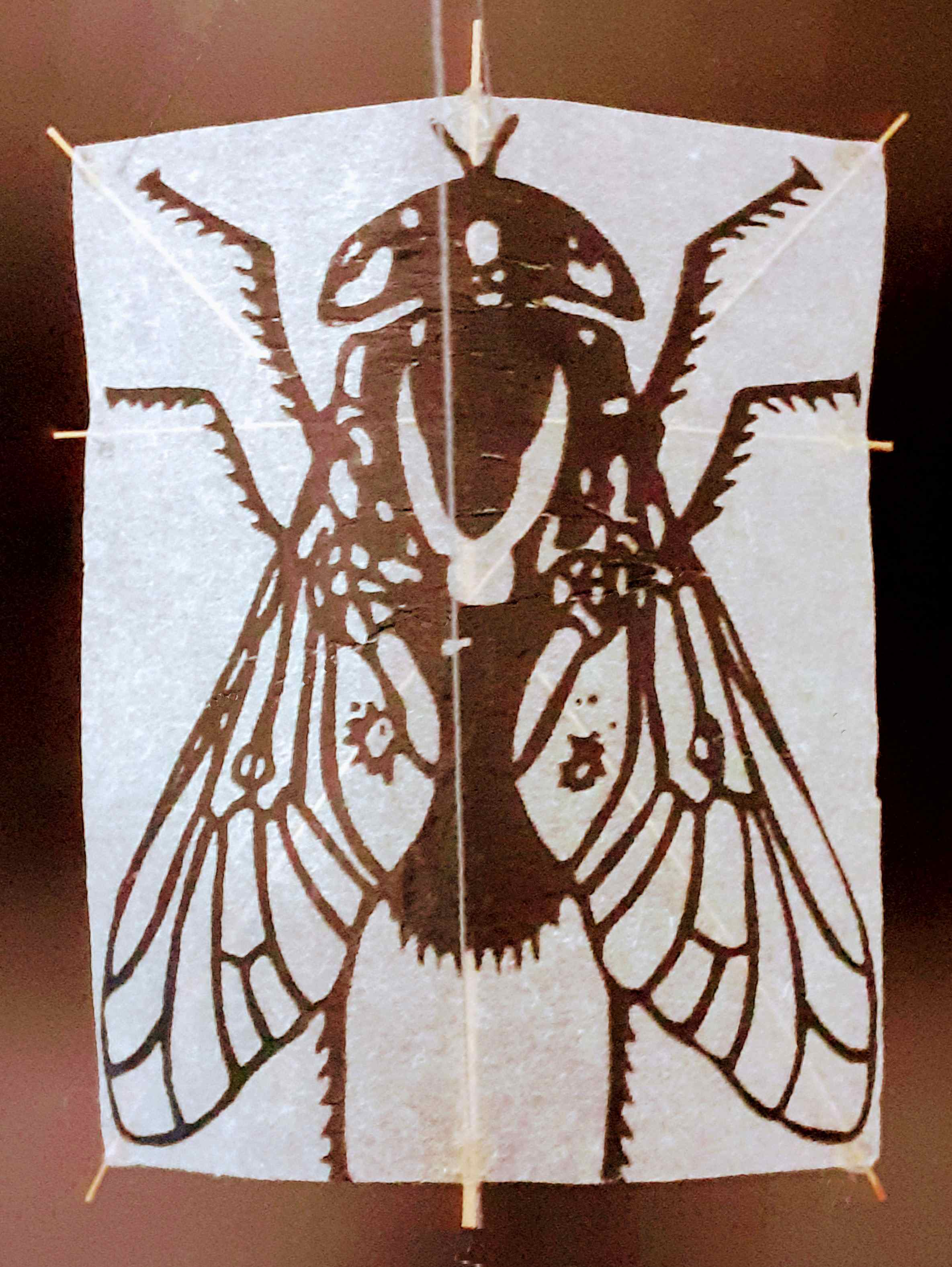 Fliege [(BxH) 55 x 70 mm]