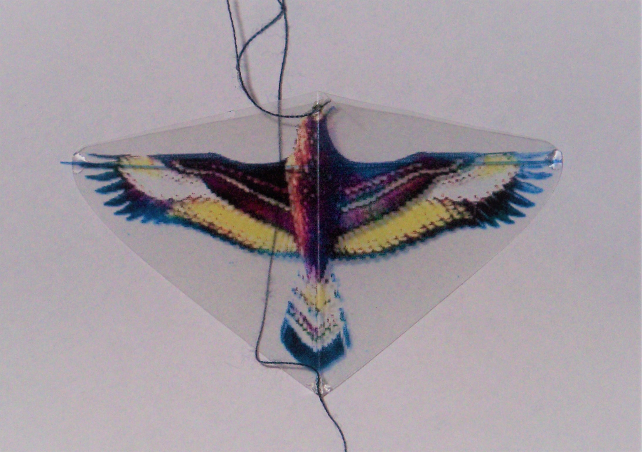 Adler: (BxH) 73 x 40 mm