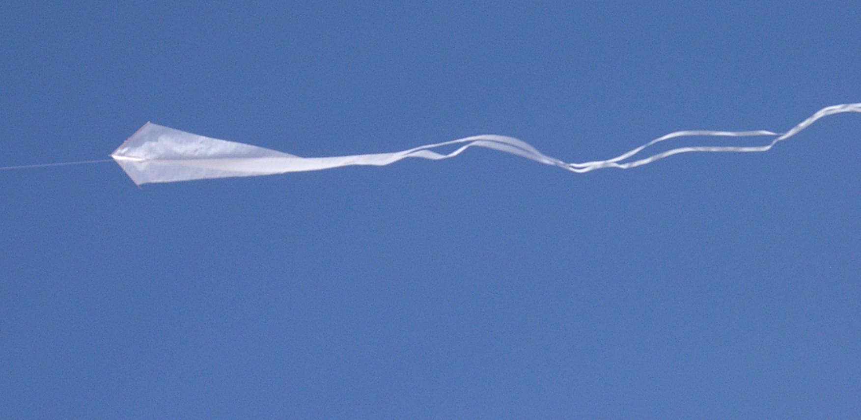 Schleierdelta: (BxH) 140 x 60 mm