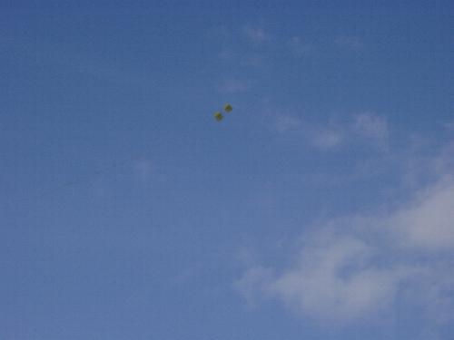 Kastendrachen im Flug [(BxTxL) 9 x 9 x 29 mm]