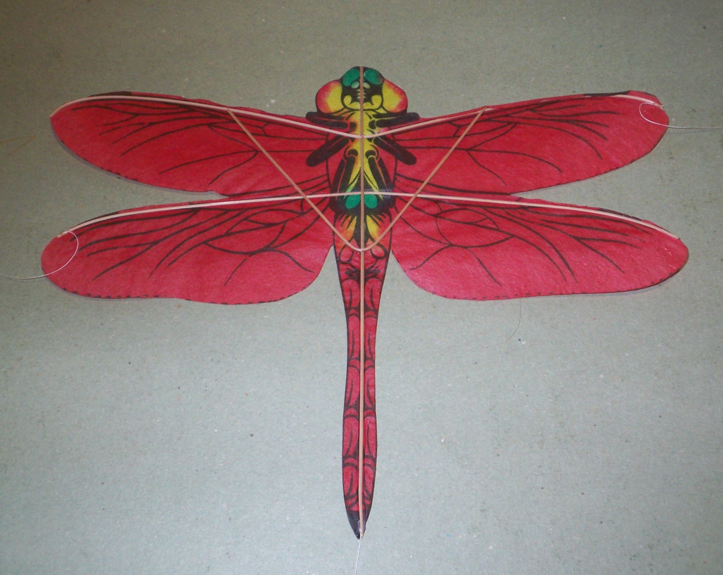 Libelle [(BxH) xxx x xxx mm]